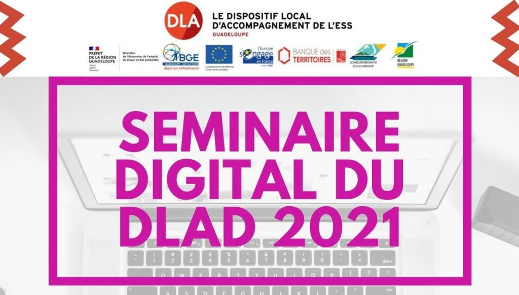 SEMINAIRE DIGITAL DU DLAD 2021 - 2ème édition