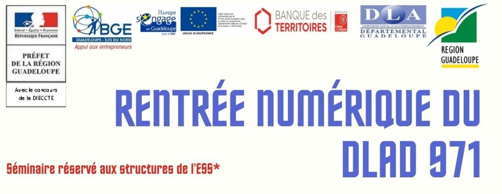 RENTREE NUMERIQUE DU DLAD 971 - EDITION 2020