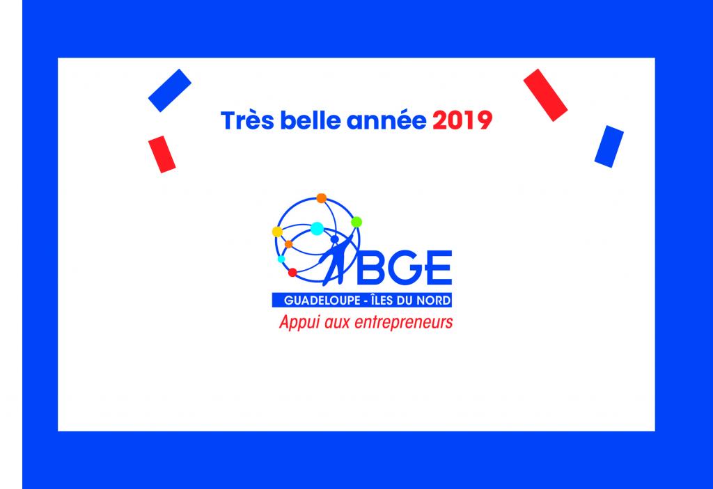 La BGE Guadeloupe vous souhaite une année 2019 pleine de réussite,