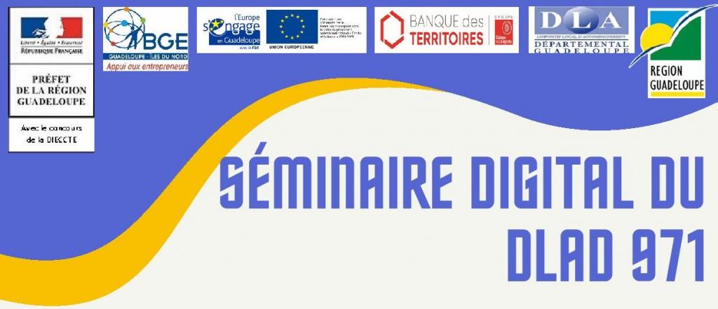 SEMINAIRE DIGITAL DU DLAD 971 - EDITION 2020