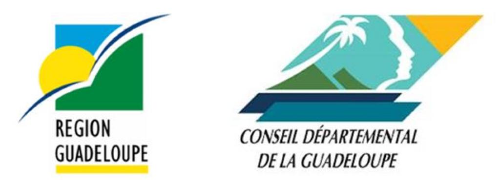 Faites votre demande de Fond Territorial de Secours ESS de la Guadeloupe