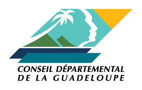 2EME APPEL A PROJET - CREATION DE TIERS-LIEUX EN GUADELOUPE - CONSEIL DEPARTEMENTAL