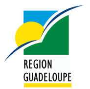 APPEL À PROJETS - ART DANS LA VILLE - REGION GUADELOUPE